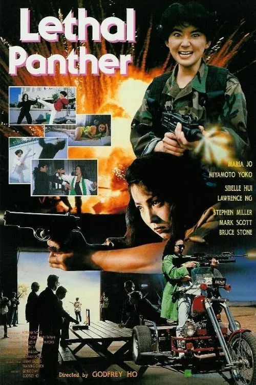Download Lethal Panther (1990) BluRay Dual Audio {Hindi-English} 480p [350MB] | 720p [950MB] | 1080p [1.8GB]