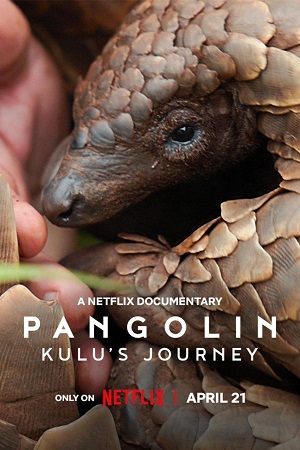 Download Pangolin: Kulu’s Journey (2025) WEB-DL Dual Audio {Hindi-English} 480p [320MB] | 720p [760MB] | 1080p [2GB]
